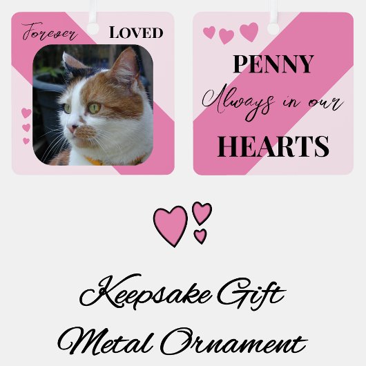 Cat Foto Beileid Keepake Pet Memorial Pink Ornament Aus Metall