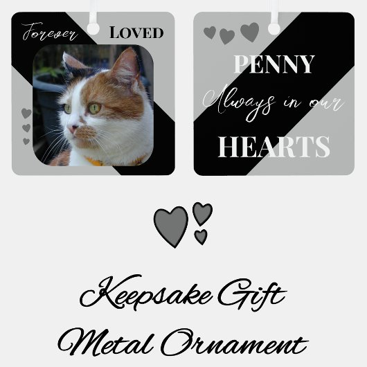 Cat Foto Beileid Keepake Pet Memorial Schwarz Ornament Aus Metall