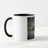 Cat Foto Benutzerdefinierte Text Combo-Tasse Tasse (Links)