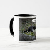 Cat Foto Benutzerdefinierte Text Combo-Tasse Tasse (Vorderseite Links)
