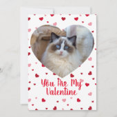 Cat Foto Benutzerdefinierte Valentintagskarte Feiertagskarte (Vorderseite)