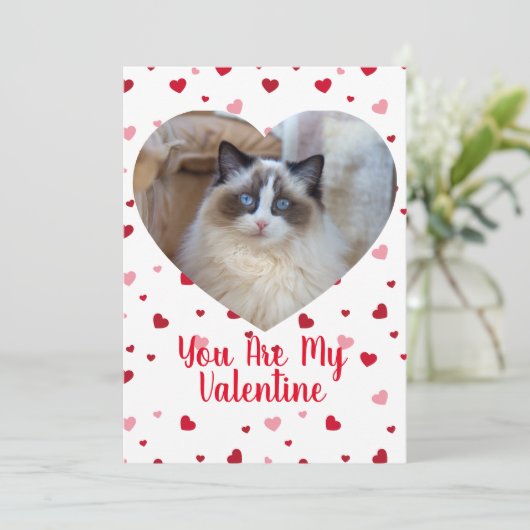 Cat Foto Benutzerdefinierte Valentintagskarte Feiertagskarte (Stehend Vorderseite)