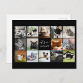Cat Foto Collage Postkarte (Vorne/Hinten)