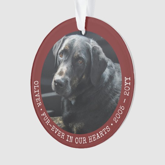 Cat-Foto für Haustiere für immer Personalisiert Ornament (Vorderseite)