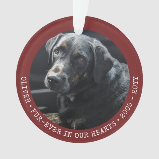 Cat-Foto für Haustiere für immer Personalisiert Ornament (Vorderseite)