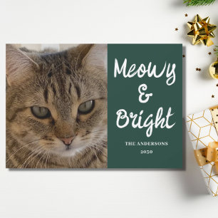 Cat Foto Green Meowy und Helle Weihnachten