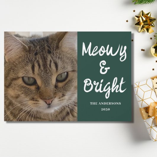 Cat Foto Green Meowy und Helle Weihnachten