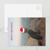Cat Foto Happy Holidays Postkarte (Vorne/Hinten)