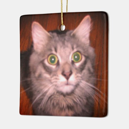 Cat Foto Keramikornament (Links)