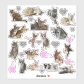 Cat Foto Kiss-Cut Vinyl Stickers Aufkleber (Blatt)