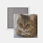 Cat Foto Magnet (Vorderseite/Rückseite)