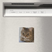 Cat Foto Magnet (In Situ (Geschirrspüler))