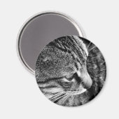 Cat Foto Magnet (Vorderseite/Rückseite)