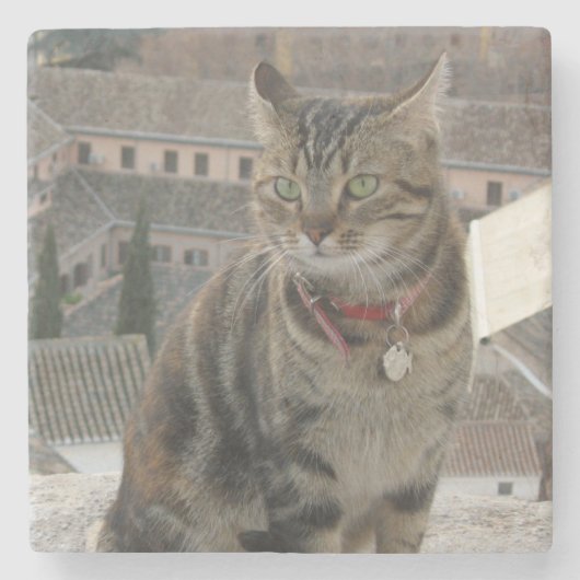 Cat Foto Marble Stone Untersetzer (Vorderseite)