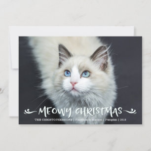 Cat Foto   Meowy Christmas Feiertagskarte