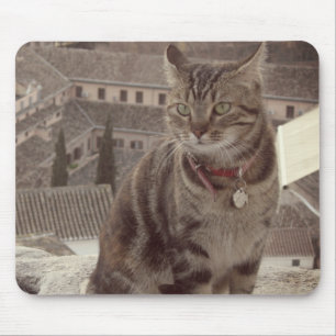 Cat Foto Mousepad