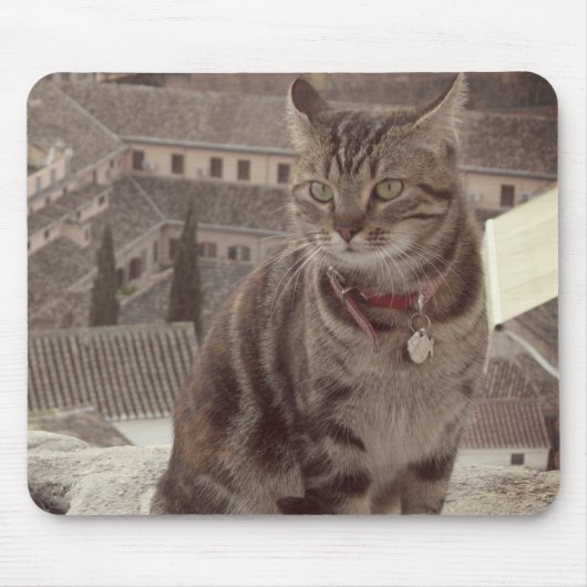 Cat Foto Mousepad (Vorne)