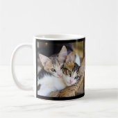Cat-Foto-Namen Kaffeetasse (Links)