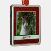 Cat Foto Ornament Aus Metall (Rechts)