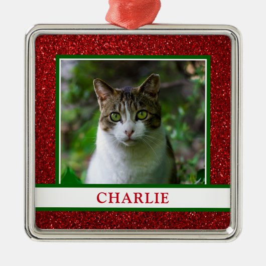 Cat Foto Ornament Aus Metall (Vorne)