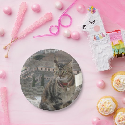 Cat Foto Paper Teller (Party)