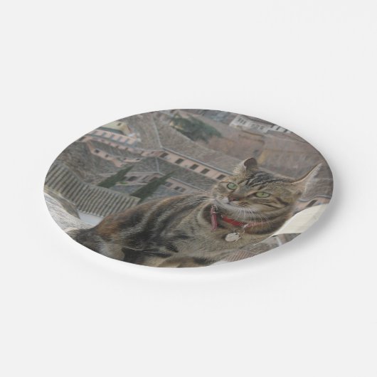 Cat Foto Paper Teller (Schrägansicht)