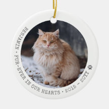 Cat Foto Pet Passende Memorial Personalisiert