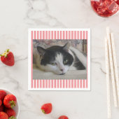 Cat Foto Pink Serviette (Beispiel)