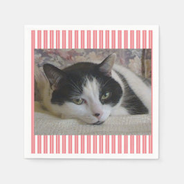 Cat Foto Pink Serviette