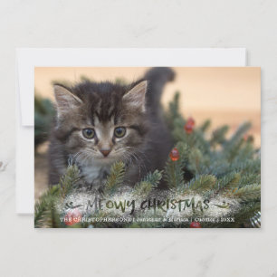 Cat Foto Pinselschrift Snowy MEOWY CHRISTMAS Feiertagskarte