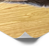 Cat Foto Poster (Ecke)