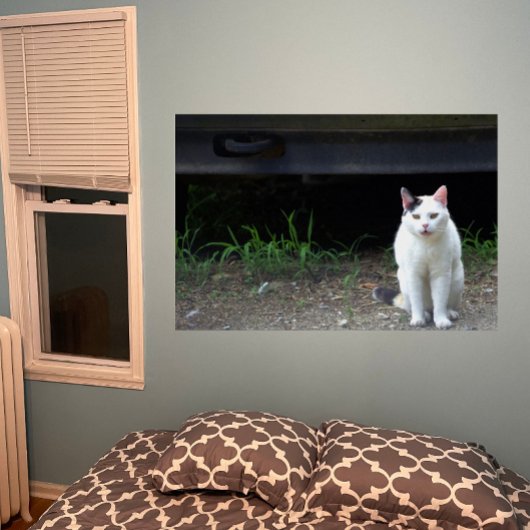 Cat Foto Poster