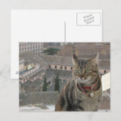 Cat Foto Postkarte (Vorne/Hinten)