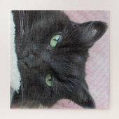 Cat Foto Puzzle (Horizontal)