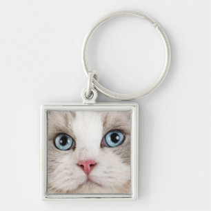 Cat Foto Schlüsselanhänger