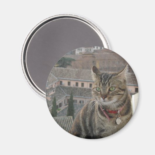 Cat Foto Standard, 5,7 cm Magnet (Vorderseite/Rückseite)