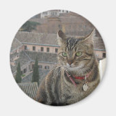 Cat Foto Standard, 5,7 cm Magnet (Vorne)