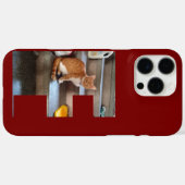 Cat Foto und Name , F, Custom Case-Mate iPhone Hülle (Rückseite (Horizontal))