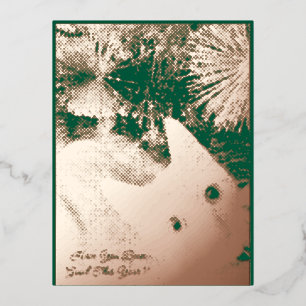 Cat Foto Weihnachts-Faltes Foil Grußkarte Folien Feiertagspostkarte