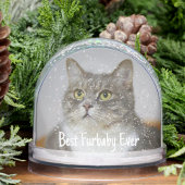Cat Foto Weihnachtsschnee Globe Schneekugeln