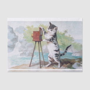 Cat Fotograf ・ Helena Maguire (1860-1909) Seidenpapier