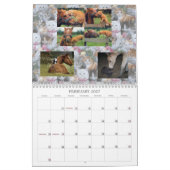 CAT-FREUNDE AUS DEM INTERNET KALENDER (Feb 2027)