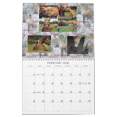 CAT-FREUNDE AUS DEM INTERNET KALENDER (Feb 2026)