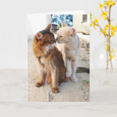 Cat Friends - Cute Cat Lovers Romance Karte (Gelbe Blume)
