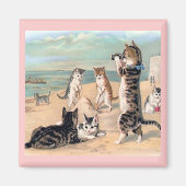 Cat Fun im Beach Magnet (Vorne)