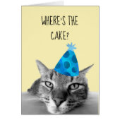Cat Funny Birthday Card Wo ist der Kuchen (Vorne)