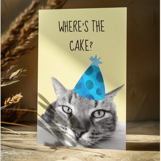 Cat Funny Birthday Card Wo ist der Kuchen