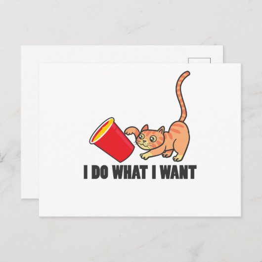 Cat Funny Design Katzen Niedlich Paw Pet Tiergesch Postkarte (Vorne/Hinten)