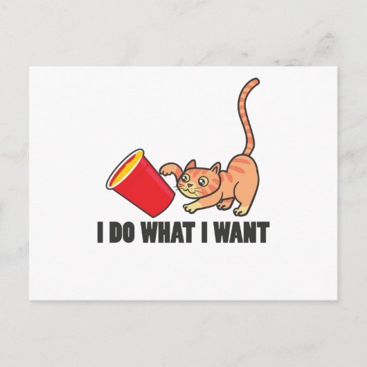 Cat Funny Design Katzen Niedlich Paw Pet Tiergesch Postkarte (Vorderseite)