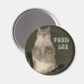 Cat "FÜTTRE ME" Round Magnet (Vorderseite/Rückseite)